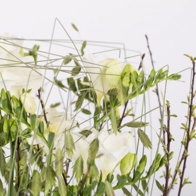 Klein Freesia bos