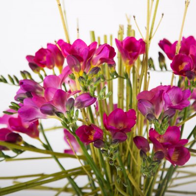 Krachtig #FreestyleFreesia boeket