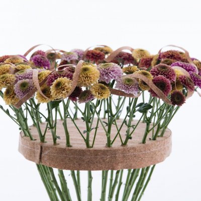 Kleurrijk Chrysant 'Doria' boeket