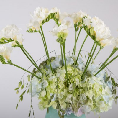 Romantisch Freesia vaas design