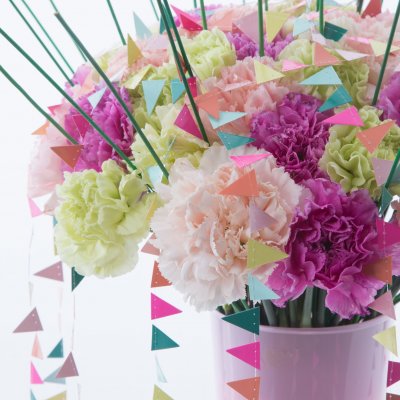 Vrolijk boeket met Anjers