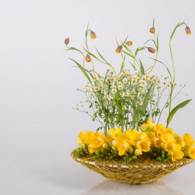 Tuintje van Freesia