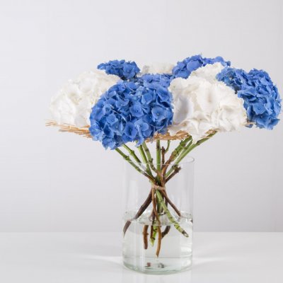 Frameboeket met Hortensia's 