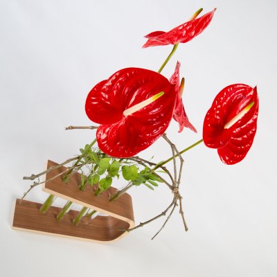 Strakke Anthuriums