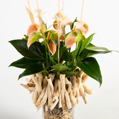 Anthurium met natuurlijke details