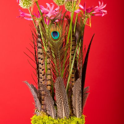 Herfstbloemwerk met veren
