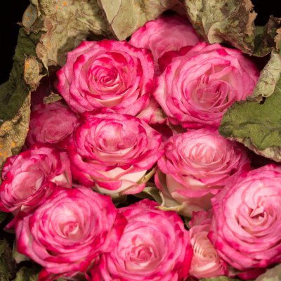 Bijzonder bloemwerk met rozen