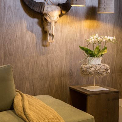 Phalaenopsis op een voetstuk