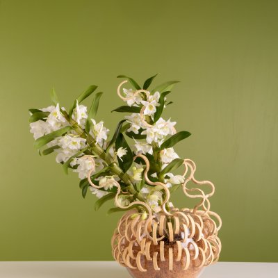 Sereen Bamboe orchidee arrangement