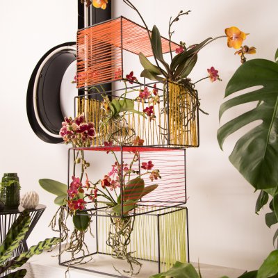Orchideeën in een urban jungle-stijl interieur