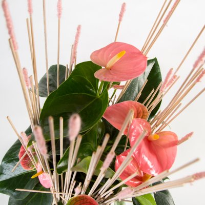 Roze Anthurium arrangement