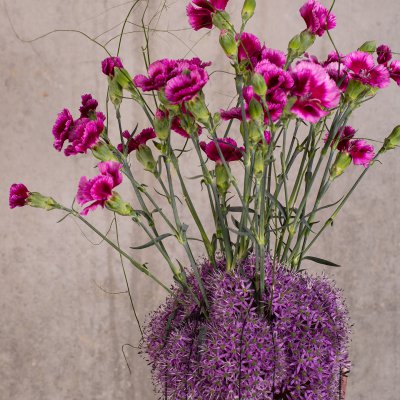 Trendy Dianthus vaas design
