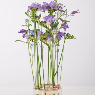 Sereen Freesia design