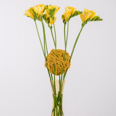 Een hechte Freesia constructie