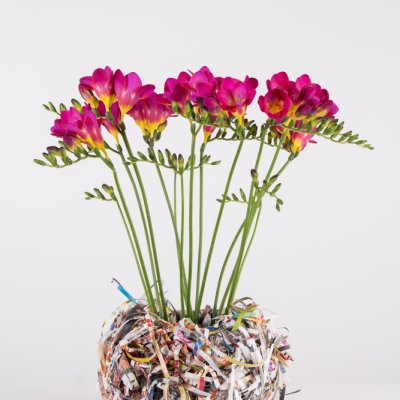 Kleurrijke rommel met Freesia