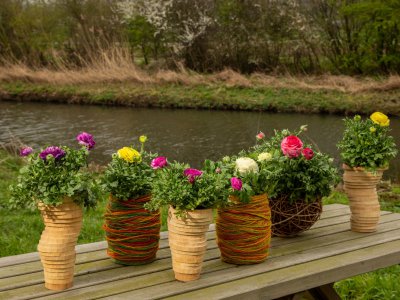 Lente