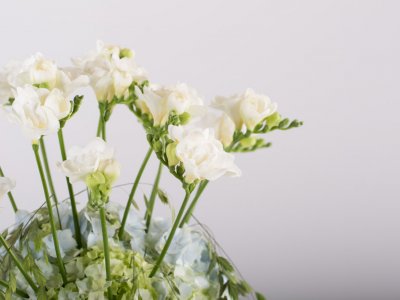 Romantisch Freesia vaas design