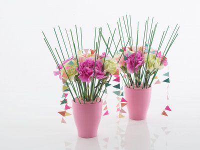 Vrolijk boeket met Anjers