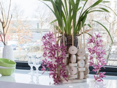 Cascade Cymbidium Anisa en hout