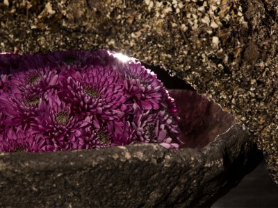 Bloemwerk met Romance Purple
