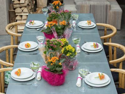 Kleurrijke horeca aankleding met Kalanchoe