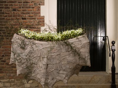 Luxe Helleborus 'Verboom Beauty' creatie