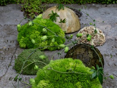 Sereen en natuurlijk rouwwerk met Green Trick