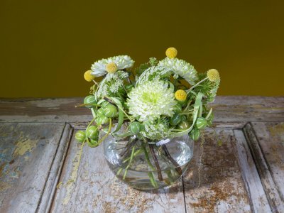 Een frame van Diplocyclos