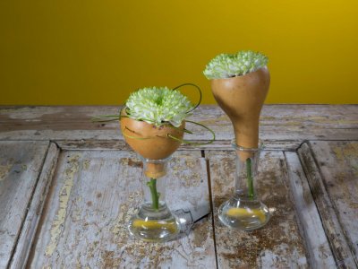 Grappige basis van gedroogde kalebas