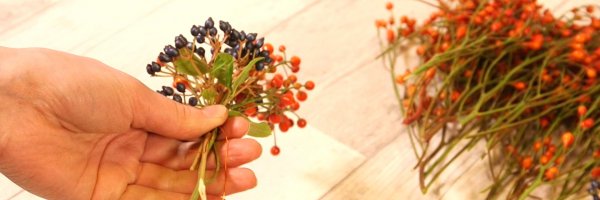 Online educatie programma leer nieuwe skills herfst2