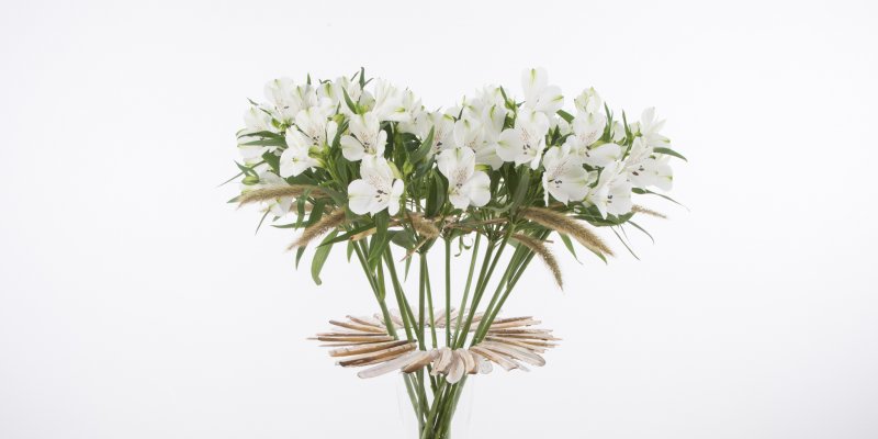 Zomers Alstroemeria design