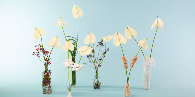 Feestelijk gedecoreerde snij-Anthuriums