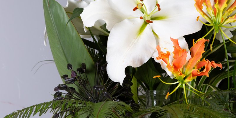 Geurloze witte Tourega lelie in jungle stijl