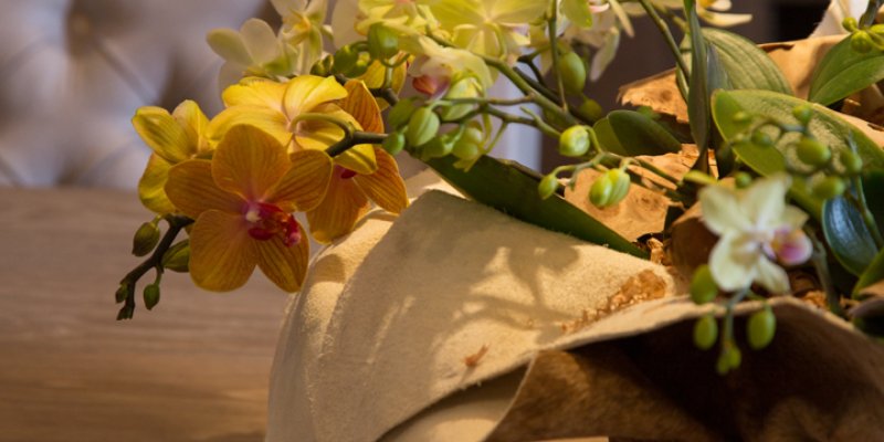 Orchideeën in landelijk chique stijl