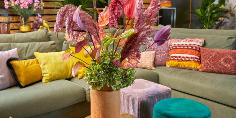 Anthurium, veelzijdig en sterk