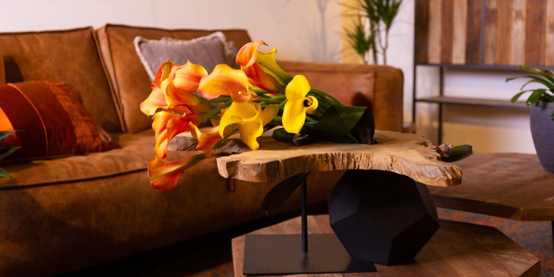 Calla past in elke woonstijl