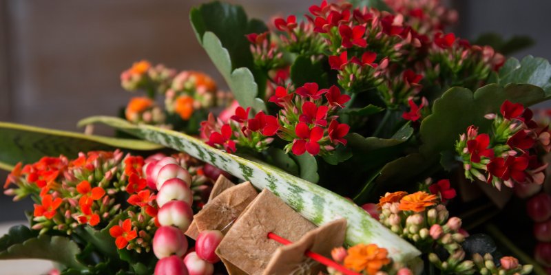 Kalanchoe tafel decoratie