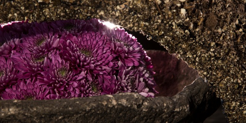 Bloemwerk met Romance Purple