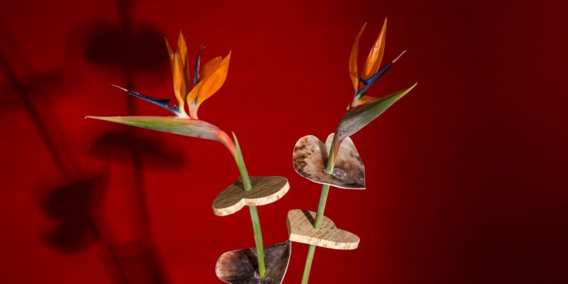 Simpel en exotisch idee voor Valentijnsdag 