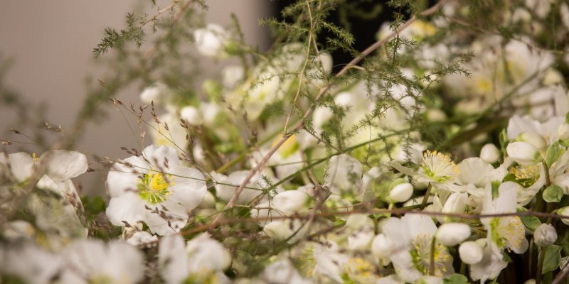 Luxe Helleborus 'Verboom Beauty' creatie
