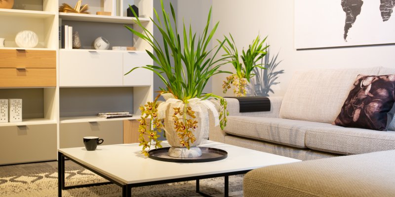 Cascade Cymbidium Argiro in een Urban Modern stijl