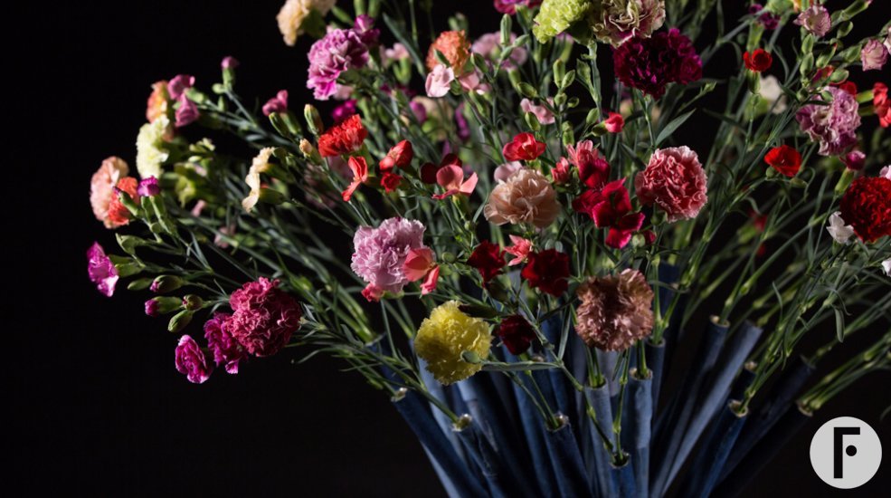 Anjer korenschoof 2.0