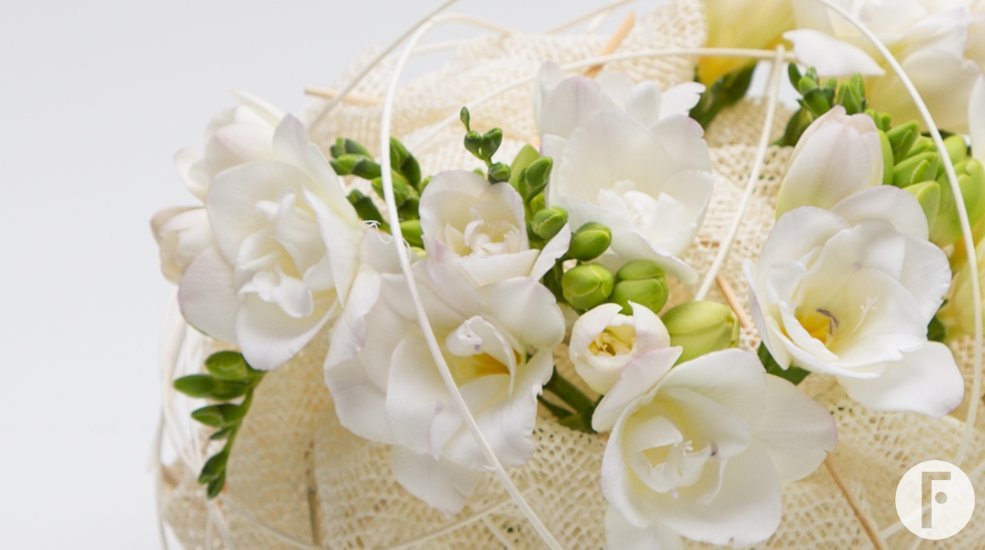 freesia arrangement soft knot close up Flower Factor