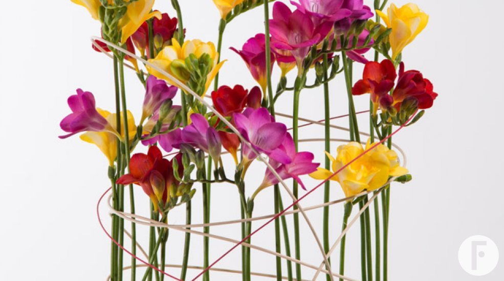 Rond Freesia design