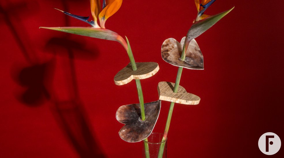 Exotisch Valentijnsdag cadeau met Strelitzia