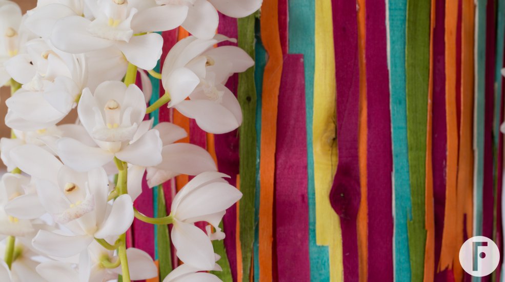 Close-up van de Ice Cascade Cymbidium