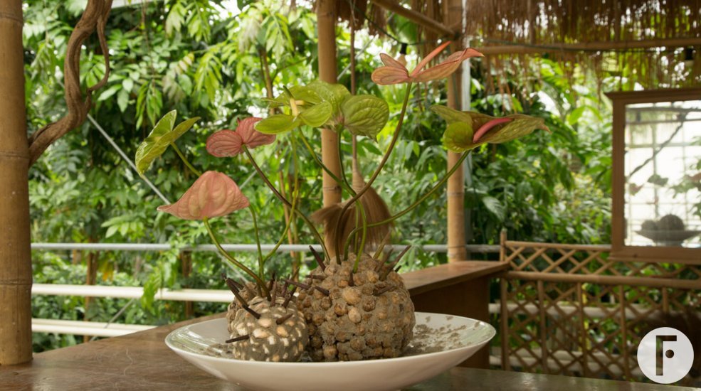 Artistic Anthurium arrangement 4