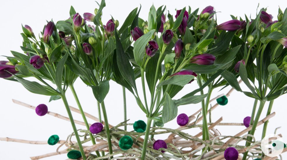 Eigenwijs tweedelig Alstroemeria boeket close-up