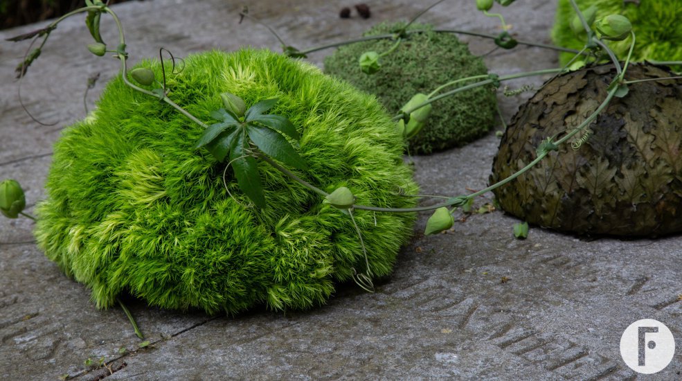 Rouwwerk met Green Trick