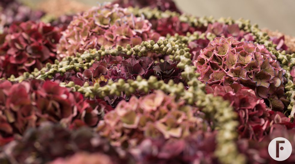 Kistbedekking met classic Hortensia